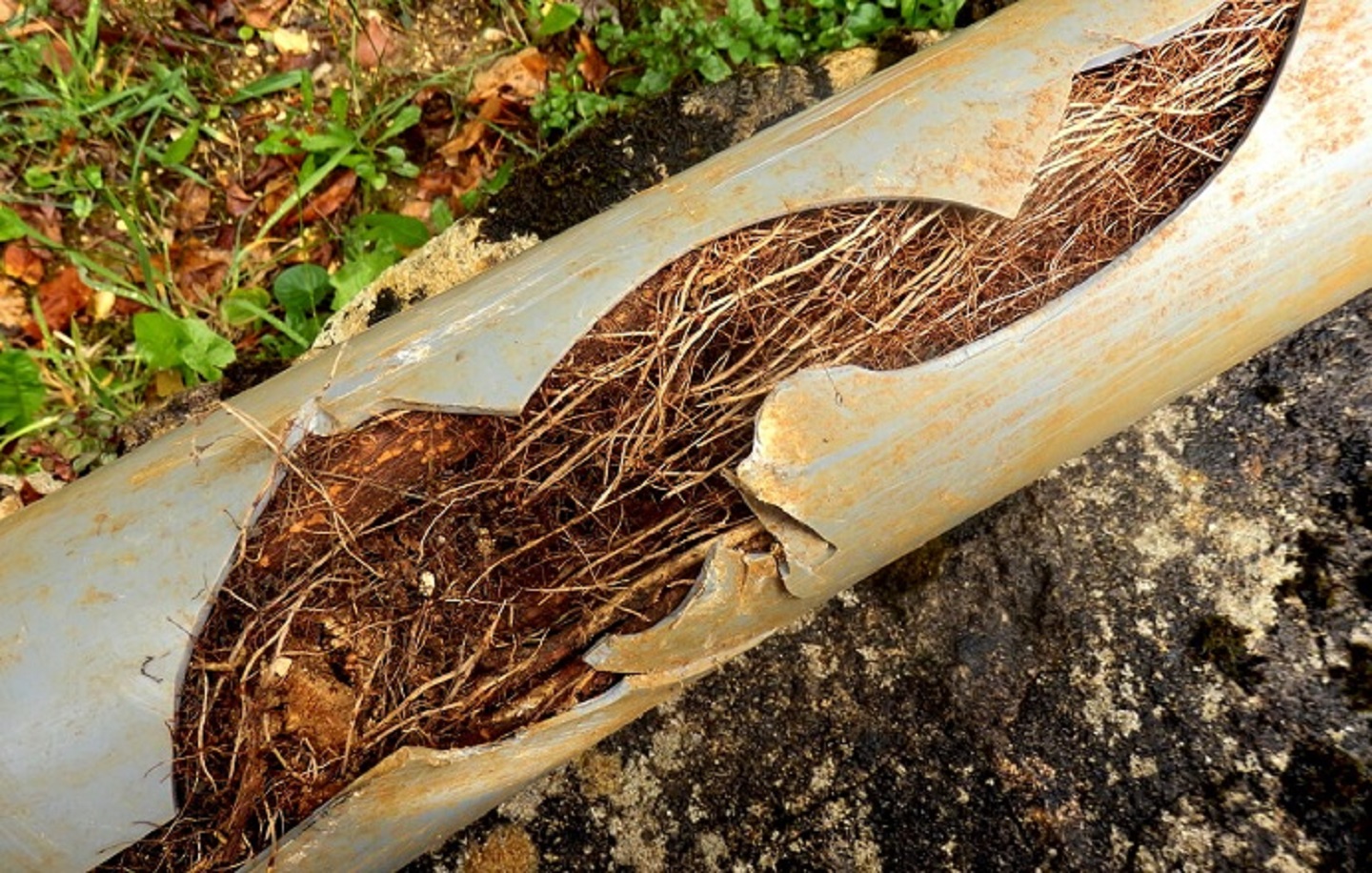 cracked pipe